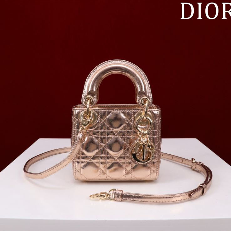 chr1st1an D10r my lady bags